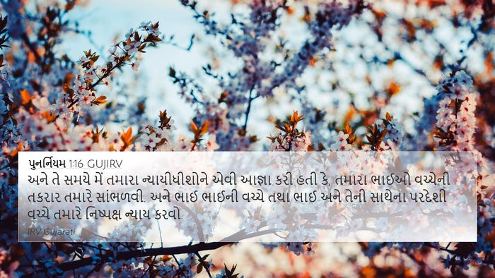પુનર્નિયમ 1:16 GUJIRV Bible Verse Image