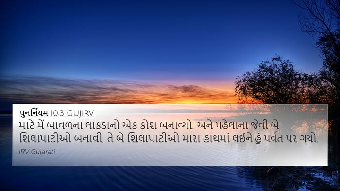પુનર્નિયમ 10:3 GUJIRV Bible Verse Image