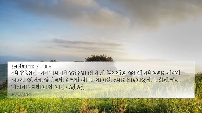 પુનર્નિયમ 11:10 GUJIRV Bible Verse Image