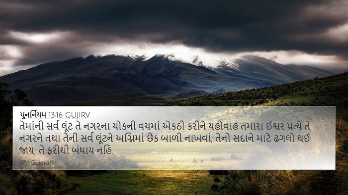 પુનર્નિયમ 13:16 GUJIRV Bible Verse Image