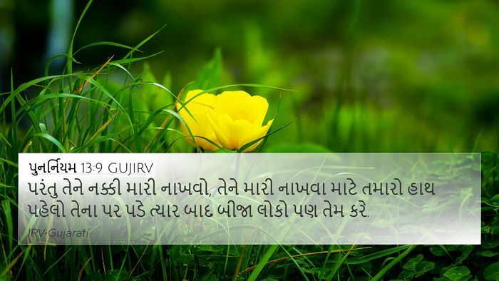 પુનર્નિયમ 13:9 GUJIRV Bible Verse Image