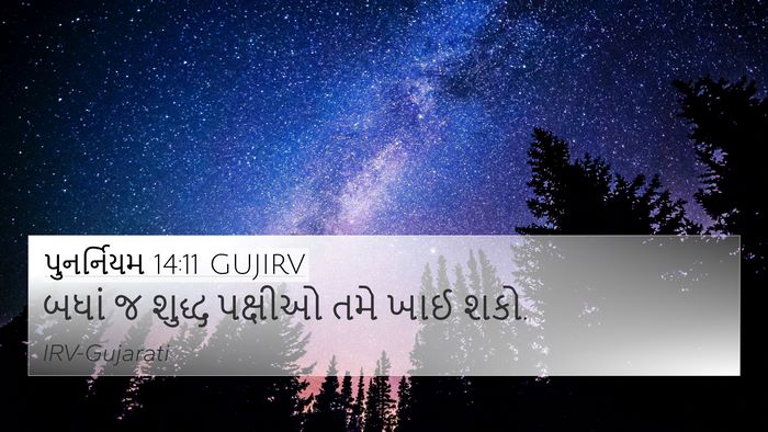 પુનર્નિયમ 14:11 GUJIRV 4K Wallpaper - બધાં જ શુદ્ધ - 4K Wallpaper Bible Verse