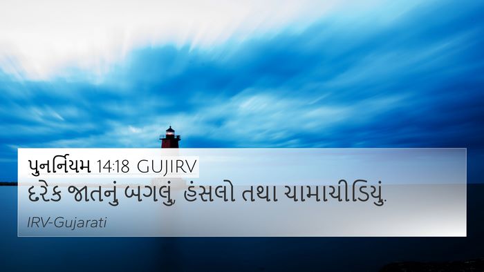 પુનર્નિયમ 14:18 GUJIRV 4K Wallpaper - દરેક જાતનું બગલું, - 4K Wallpaper Bible Verse