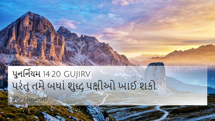 પુનર્નિયમ 14:20 GUJIRV 4K Wallpaper - પરંતુ તમે બધાં - 4K Wallpaper Bible Verse
