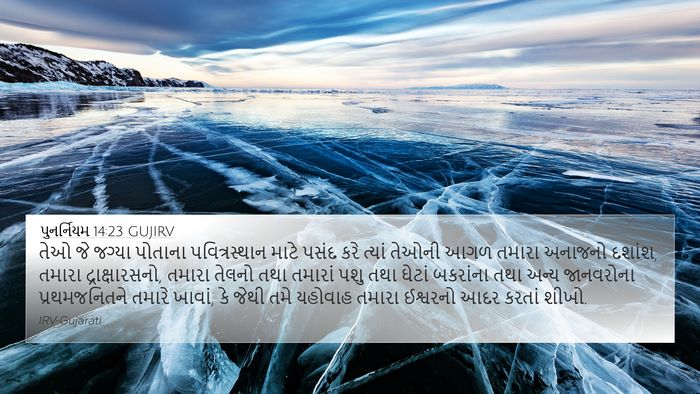 પુનર્નિયમ 14:23 GUJIRV Bible Verse Image