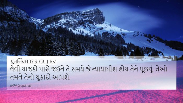 પુનર્નિયમ 17:9 GUJIRV Bible Verse Image