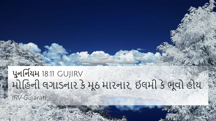 પુનર્નિયમ 18:11 GUJIRV Bible Verse Image