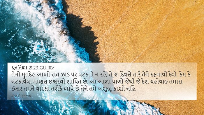 પુનર્નિયમ 21:23 GUJIRV Bible Verse Image