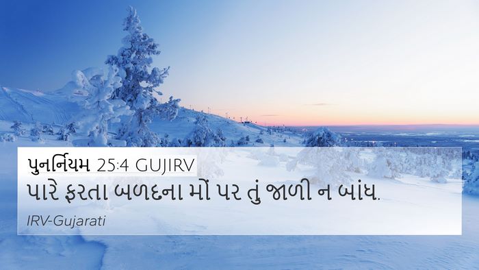 પુનર્નિયમ 25:4 GUJIRV Bible Verse Image