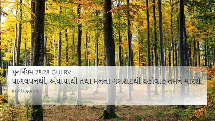 પુનર્નિયમ 28:28 GUJIRV Bible Verse Image