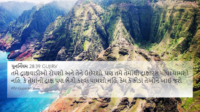 પુનર્નિયમ 28:39 GUJIRV Bible Verse Image