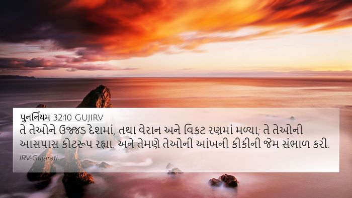 પુનર્નિયમ 32:10 GUJIRV Bible Verse Image