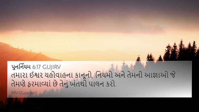 પુનર્નિયમ 6:17 GUJIRV Bible Verse Image