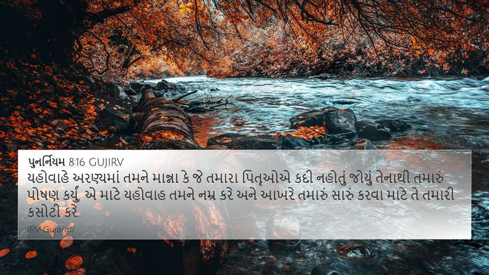 પુનર્નિયમ 8:16 GUJIRV Bible Verse Image