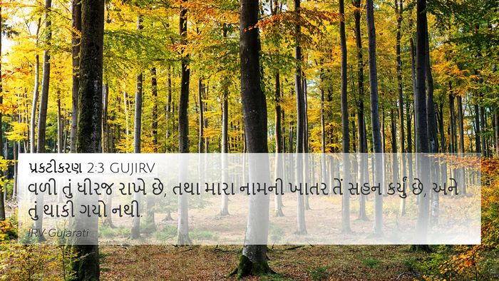 પ્રકટીકરણ 2:3 GUJIRV Bible Verse Image