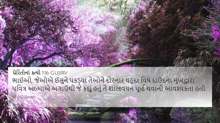 પ્રેરિતોનાં ક્રત્યો 1:16 GUJIRV Bible Verse Image