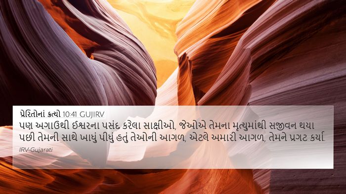 પ્રેરિતોનાં ક્રત્યો 10:41 GUJIRV Bible Verse Image