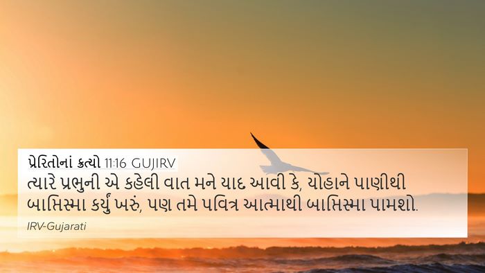 પ્રેરિતોનાં ક્રત્યો 11:16 GUJIRV Bible Verse Image