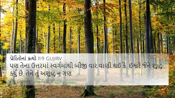 પ્રેરિતોનાં ક્રત્યો 11:9 GUJIRV Bible Verse Image