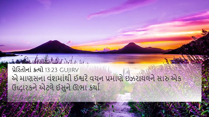 પ્રેરિતોનાં ક્રત્યો 13:23 GUJIRV Bible Verse Image