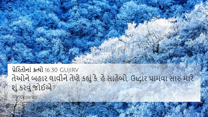 પ્રેરિતોનાં ક્રત્યો 16:30 GUJIRV Bible Verse Image