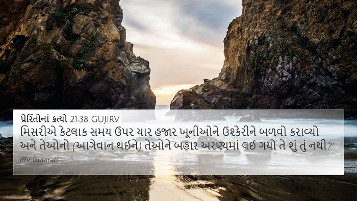 પ્રેરિતોનાં ક્રત્યો 21:38 GUJIRV Bible Verse Image
