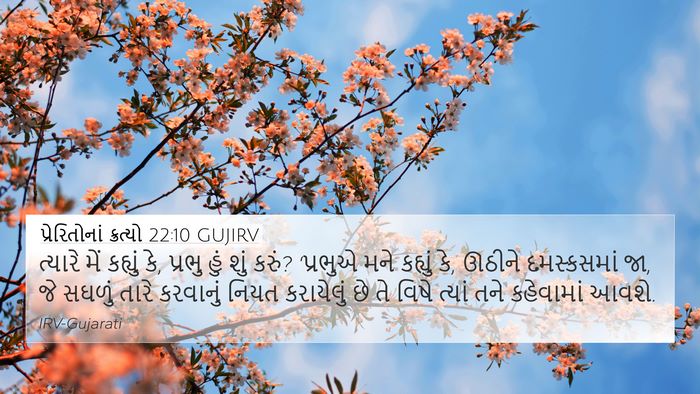 પ્રેરિતોનાં ક્રત્યો 22:10 GUJIRV Bible Verse Image