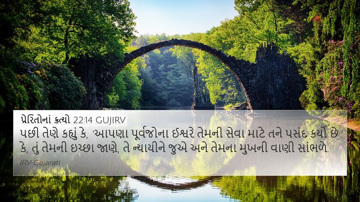 પ્રેરિતોનાં ક્રત્યો 22:14 GUJIRV Bible Verse Image