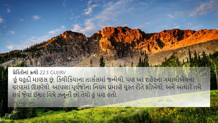પ્રેરિતોનાં ક્રત્યો 22:3 GUJIRV Bible Verse Image