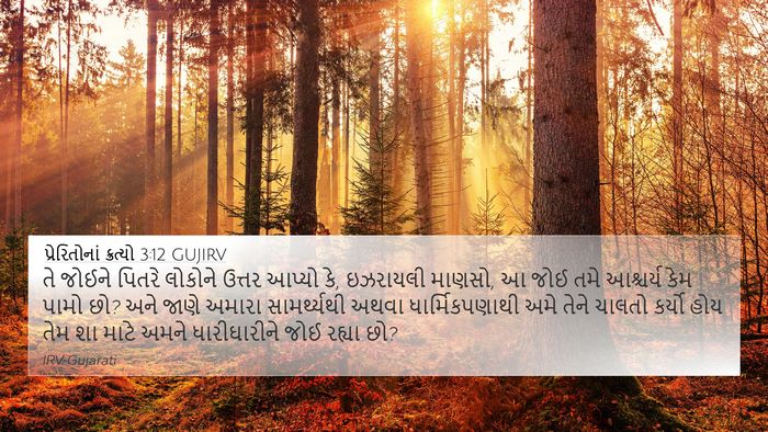 પ્રેરિતોનાં ક્રત્યો 3:12 GUJIRV Bible Verse Image