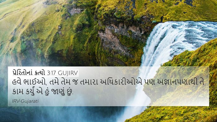 પ્રેરિતોનાં ક્રત્યો 3:17 GUJIRV Bible Verse Image