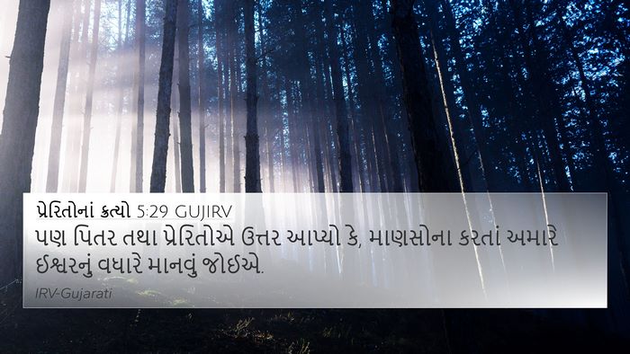 પ્રેરિતોનાં ક્રત્યો 5:29 GUJIRV Bible Verse Image