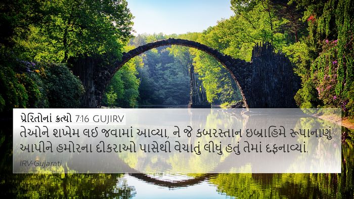પ્રેરિતોનાં ક્રત્યો 7:16 GUJIRV Bible Verse Image
