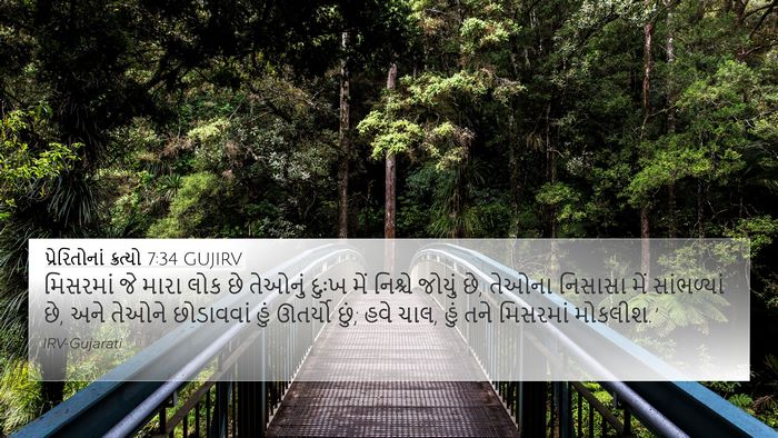 પ્રેરિતોનાં ક્રત્યો 7:34 GUJIRV Bible Verse Image
