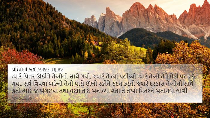 પ્રેરિતોનાં ક્રત્યો 9:39 GUJIRV Bible Verse Image