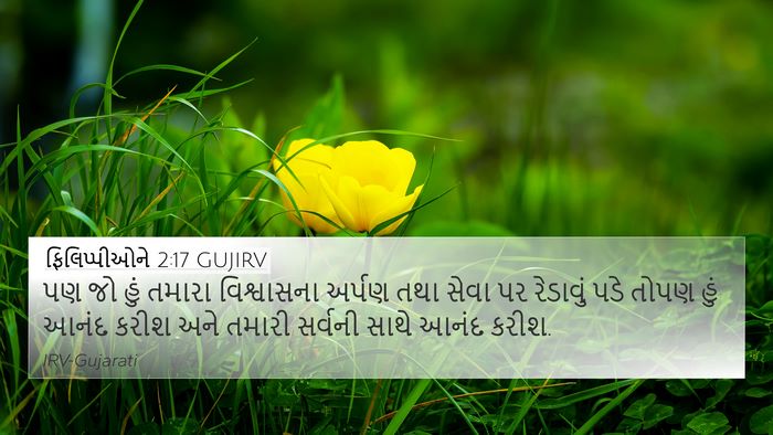 ફિલિપ્પીઓને 2:17 GUJIRV Bible Verse Image
