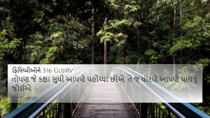 ફિલિપ્પીઓને 3:16 GUJIRV Bible Verse Image