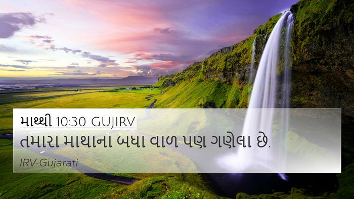 માથ્થી 10:30 GUJIRV Bible Verse Image
