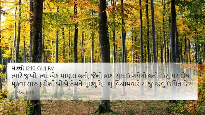 માથ્થી 12:10 GUJIRV Bible Verse Image