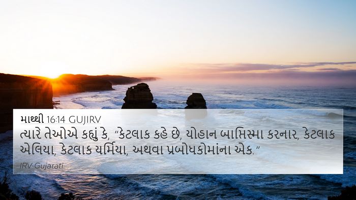 માથ્થી 16:14 GUJIRV Bible Verse Image