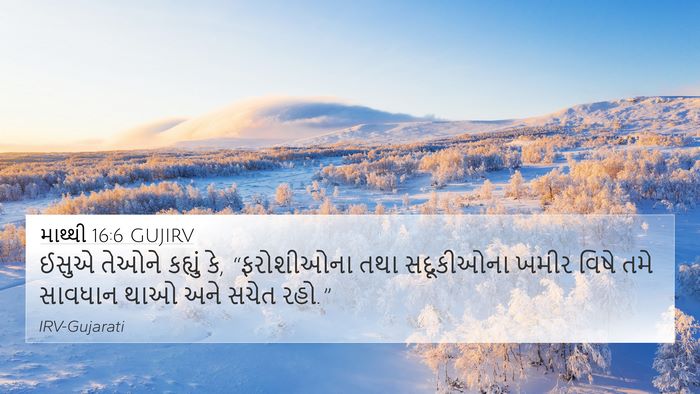 માથ્થી 16:6 GUJIRV Bible Verse Image