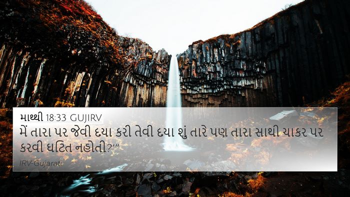 માથ્થી 18:33 GUJIRV Bible Verse Image