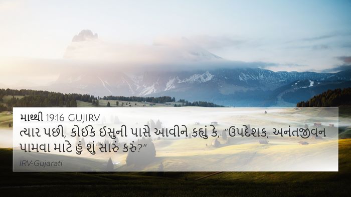 માથ્થી 19:16 GUJIRV Bible Verse Image