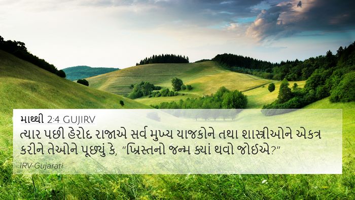 માથ્થી 2:4 GUJIRV 4K Wallpaper - ત્યાર પછી હેરોદ - 4K Wallpaper Bible Verse