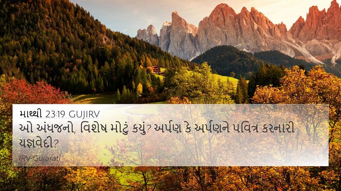 માથ્થી 23:19 GUJIRV Bible Verse Image