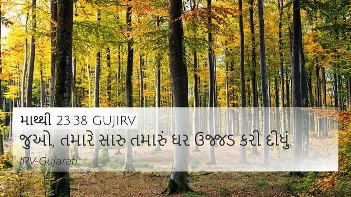 માથ્થી 23:38 GUJIRV Bible Verse Image