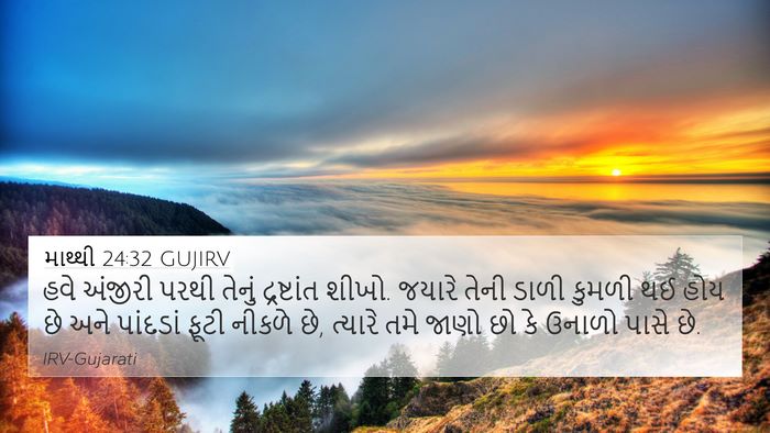 માથ્થી 24:32 GUJIRV Bible Verse Image