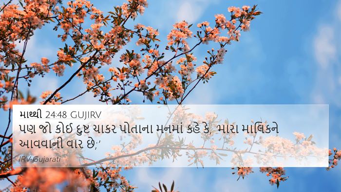 માથ્થી 24:48 GUJIRV 4K Wallpaper - પણ જો કોઈ દુષ્ટ - 4K Wallpaper Bible Verse