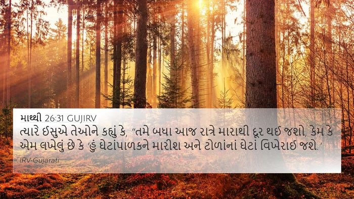 માથ્થી 26:31 GUJIRV Bible Verse Image