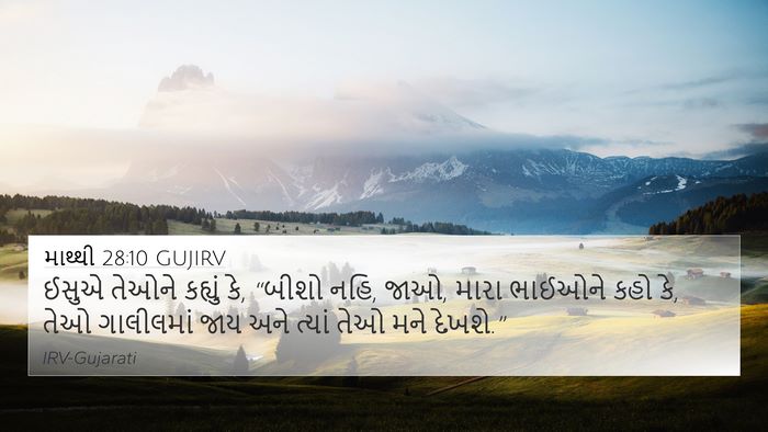 માથ્થી 28:10 GUJIRV Bible Verse Image